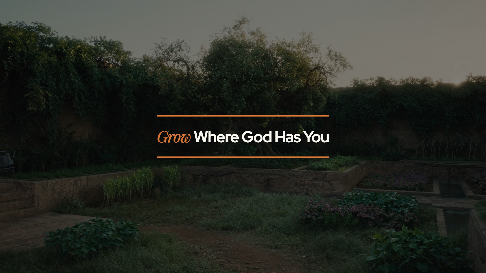 Point 2: Grow where God has you